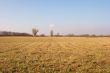 Field