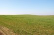 Field