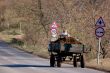 Rural cart
