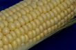Waterdrops on corncob.