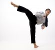 Roundhouse Kick