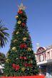 Christmas In Summer