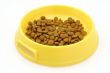 cat food on white