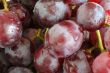 wet grapes macro