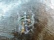 Water ripples