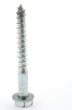 closeup of a screw on white background