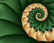 Organic spiral