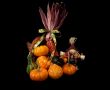 Autumn Cornucopia