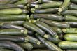 Zucchini