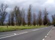 British country road in springtime