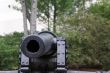 Into the Muzzle