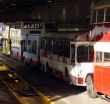 A row of buses old and new