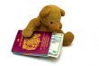 Toy Teddy Bear with Passport and Cash