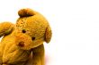 Playful Toy Teddy Bear