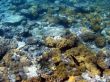 Great Barrier Reef