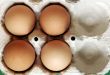 Four Eggs
