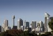 Sydney Skyline