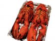Two 3 Pound Lobsters