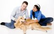 Pet Dog