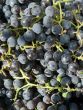 grapes