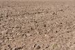 Arable land