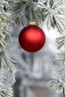 Christmas Decoration