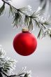 Christmas Decoration