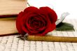 Rose Letter