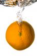 Orange Citrus - Water Fruit