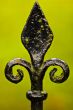 Fleur de Lys