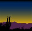 Cactus Desert Mountain Nightfall