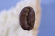 Coffee grain