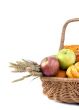 Autumn basket