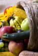 Cornucopia