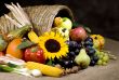 Cornucopia