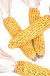 Decorative Corn