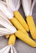 Decroative Corn on Burlap