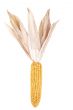 Isolated Decroative corn