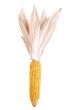 Isolated Decroative Corn
