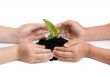 Protection our Environment