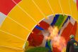 Hot Air Balloon Inflated by Flame