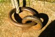 Mooring Ring