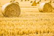Straw Bale Rolls