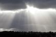 Sunlight