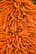 Carrots Jumble - Vegetable Background