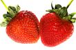 Strawberries on White