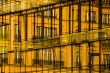 Building Reflection