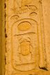 Egyptian Pyramid Scarab Beetle