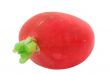 radish - pure white background