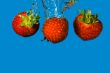 Strawberry Fruit in Water